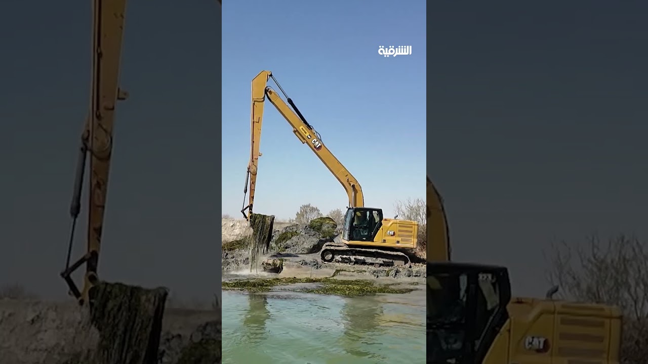 فيديو | نبات "الشنبلان" يفتك بقناة البدعة في البصرة