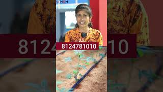 நீங்க வாங்க வேண்டிய நேரம் இது! - இந்த விலைக்கு கிடைக்காதே! Drip Irrigation Laterals