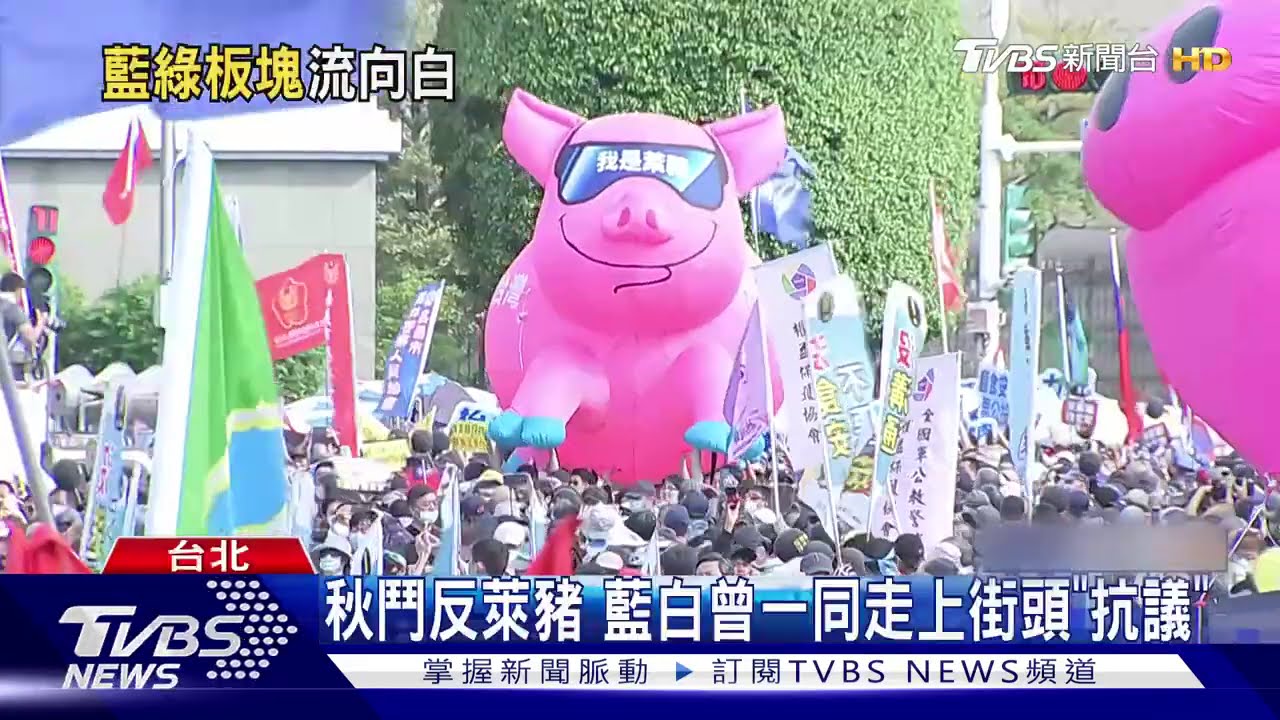 藍支持度下滑白上升 親綠民調:小黨受益