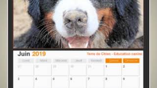 Calendriers 2019