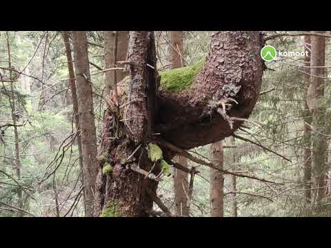 👫Silener Höhenweg🧍