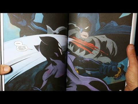 panellogy 048 - batman: haunted knight,absolute ed.