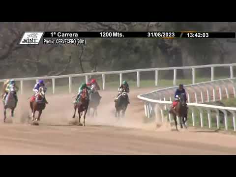 230831 c01 1° EL ESPECIALISTA