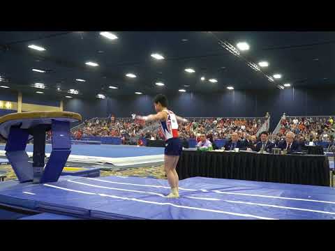 Asher Hong - Vault - 2018 Winter Cup - Finals