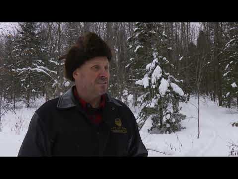 Training to become a Trapper