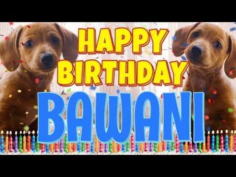 Happy Birthday Bawani! ( Funny Talking Dogs ) What Is Free On My Birthday