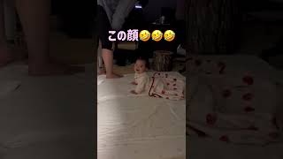 真夜中に起きちゃった、、#育児あるある#かわいい #shorts  #lofi #music