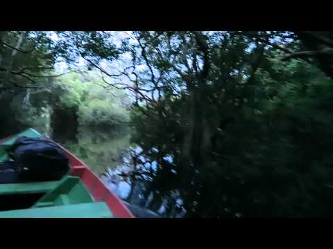 Thrilled to be heading to the Amazon Tupana Lodge around sunset through the submerged forest