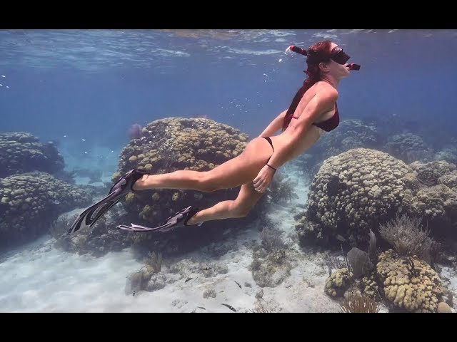 BEST CAYMAN ISLANDS shallow water reef DIVE