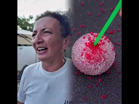 BAHÇIVAN PART2 😂😂 #shorts