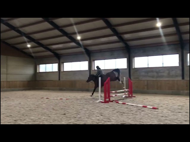 jumping under saddle