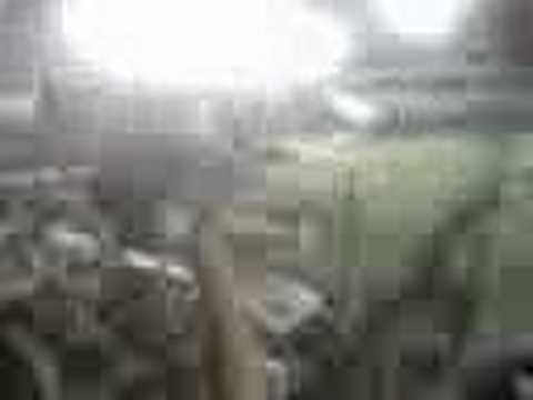 lanus 4 gimnasia lp 0 ! festejo de los jugadores con la 14