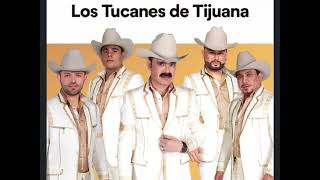 Corridos perrones pa pistear con Los Tucanes De Tijuana