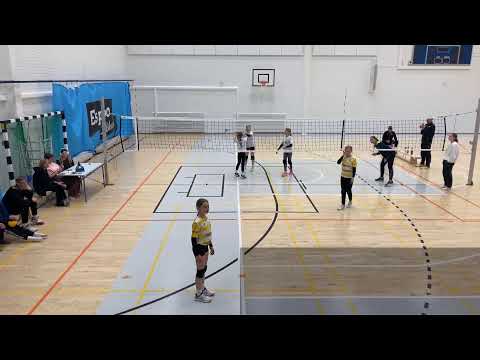 DT Tiikeri Pronssi 18789   h18786 - h18787