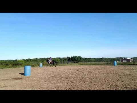 Star - 06/02/2016 - 1