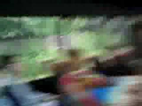 sanctuary festival 2008 1