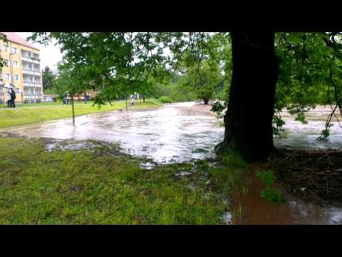 2013 06 02 Neukirchen Pleiße