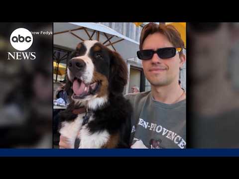 LA DJ demanding answers after alleging $10,000 dog training turns deadly