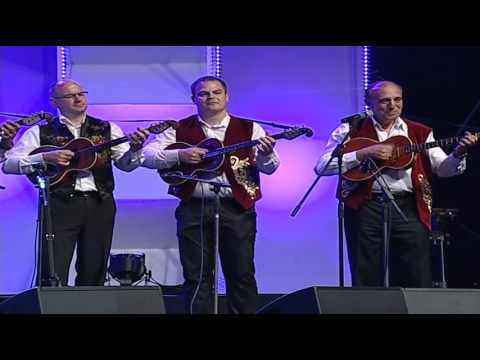 Tamburica fest 2015 - Zvonko Bogdan koncert