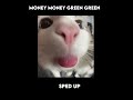 Money money green green, |sped up!|  💸💰