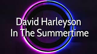 Download lagu David Harleyson - In The Summertime (SUMMER '93 Club Edit) mp3