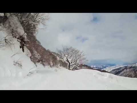 湯澤高原滑雪場最美逛山綠線
