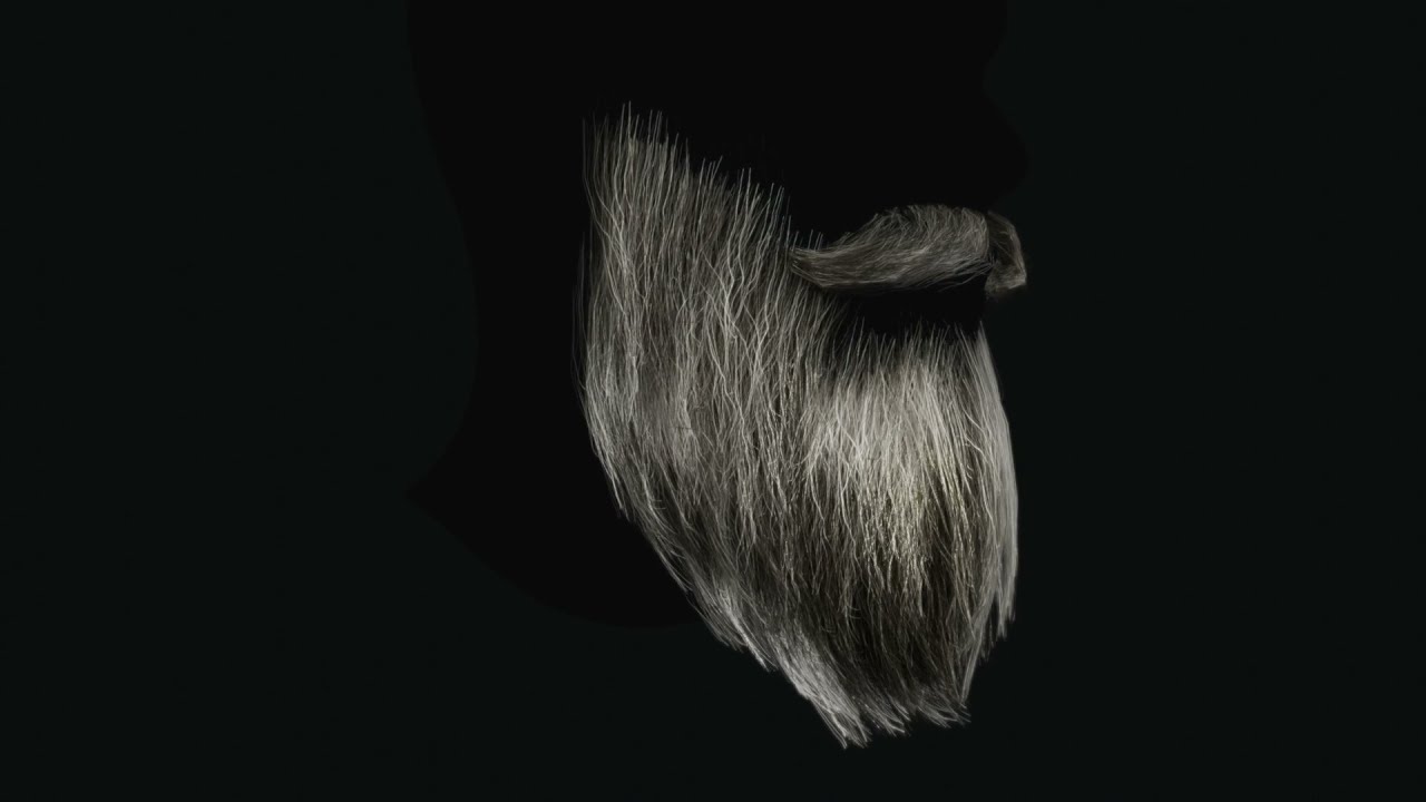 Beard RealTime 2 3D Model