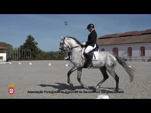 201017 9 Hual - Aprovação de Garanhões