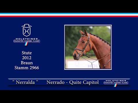 Holsteiner Sommerauktion 2019 | Nr. 11 - Nerralda v. Nerrado - Quite Capitol