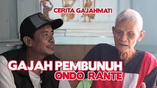 Download lagu The Story of the Guardian of the Elephant | (SARIDIN) SYEH JANGKUNG VS ONDO RANTE mp3