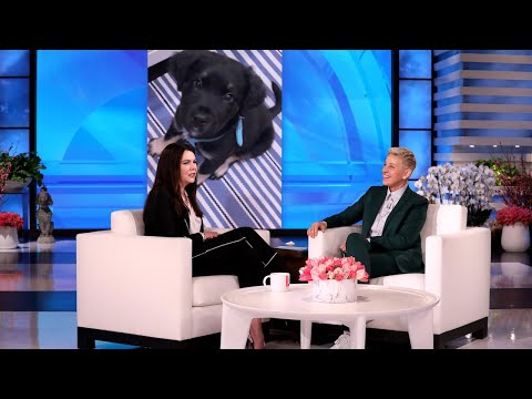 ローレン・グラハム、ダックス・シェパードをブラッド・ピットと間違えた (Lauren Graham Mistook Dax Shepard for Brad Pitt)