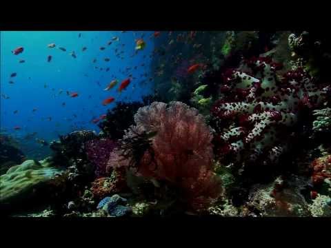 Enigma   Gravity Of Love Most Beautiful Places On Earth HD 720p