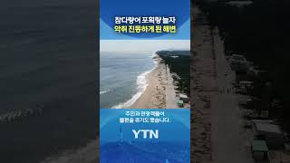 물고기 수백 마리 '의문의 떼죽음' #shorts / YTN