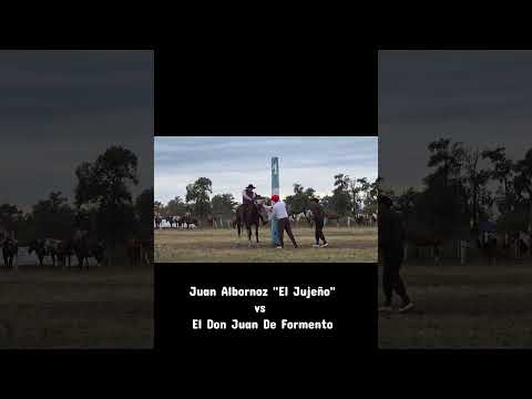 Monta Especial!!! Predio el Paraíso,  Tostado, Santa Fe #caballos #viral #parati
