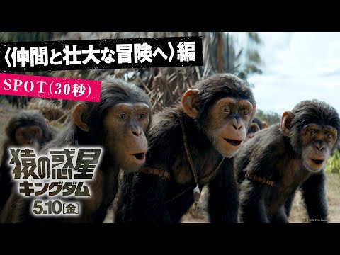 〈仲間と壮大な冒険へ〉編 SPOT（30秒）