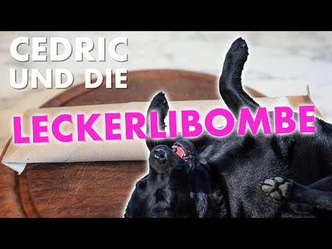 Cedric der Labrador - 122 | Cedric und die Leckerlibombe