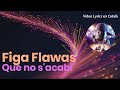 Figa Flawas - Que no s'acabi (Video Lyrics en català)