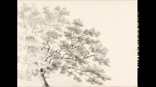 Marissa Nadler - All The Colors Of The Dark