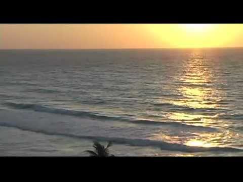 Sam Hunter (Tropical Retreat Official Music Video)