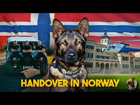 ¡Una entrega increíble en Noruega!: Helicópteros, casas de lujo y un perro de protección de prime...