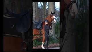 Čabraka HKM Rosegold Glamour