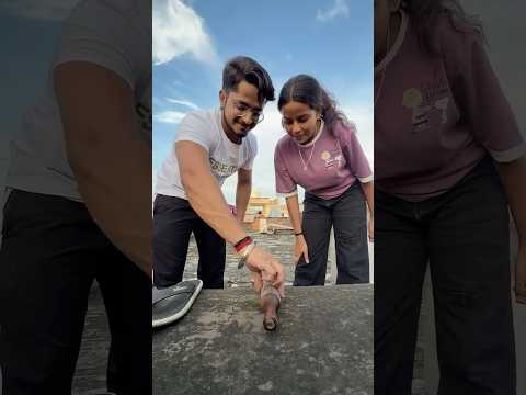 Wait for end☠️ #comedy #reels #funny #explorepage #shorts #comedyvedios
