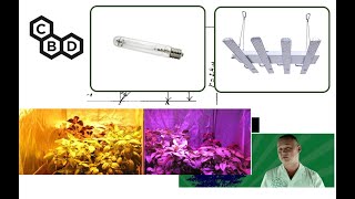 #182 CBD, Расстояние до светильника, Happy(white)Sun и &quot;другие&quot; блогеры