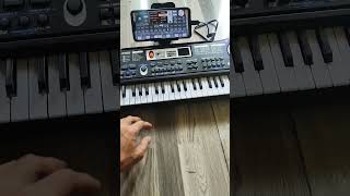 Download lagu piano mainan jadi ORGEN TUNGGAL mp3 Download lagu piano mainan jadi ORGEN TUNGGAL mp3