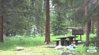 preview picture of video 'CampgroundViews.com - Lake Creek Campground Cody Wyoming (Cooke City Montana) Forest Service'