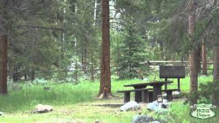 Lake Creek Campground Video