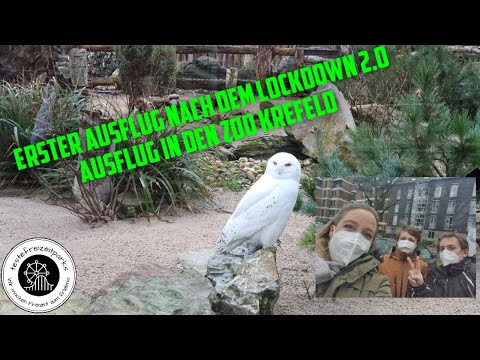 Erster Ausflug nach dem Lockdown 2.0 - Ausflug in den Zoo Krefeld