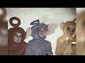 Gandi BAAT Slowed And Reverb