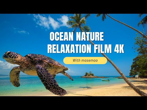 OCEAN Nature Relaxation Film 4K