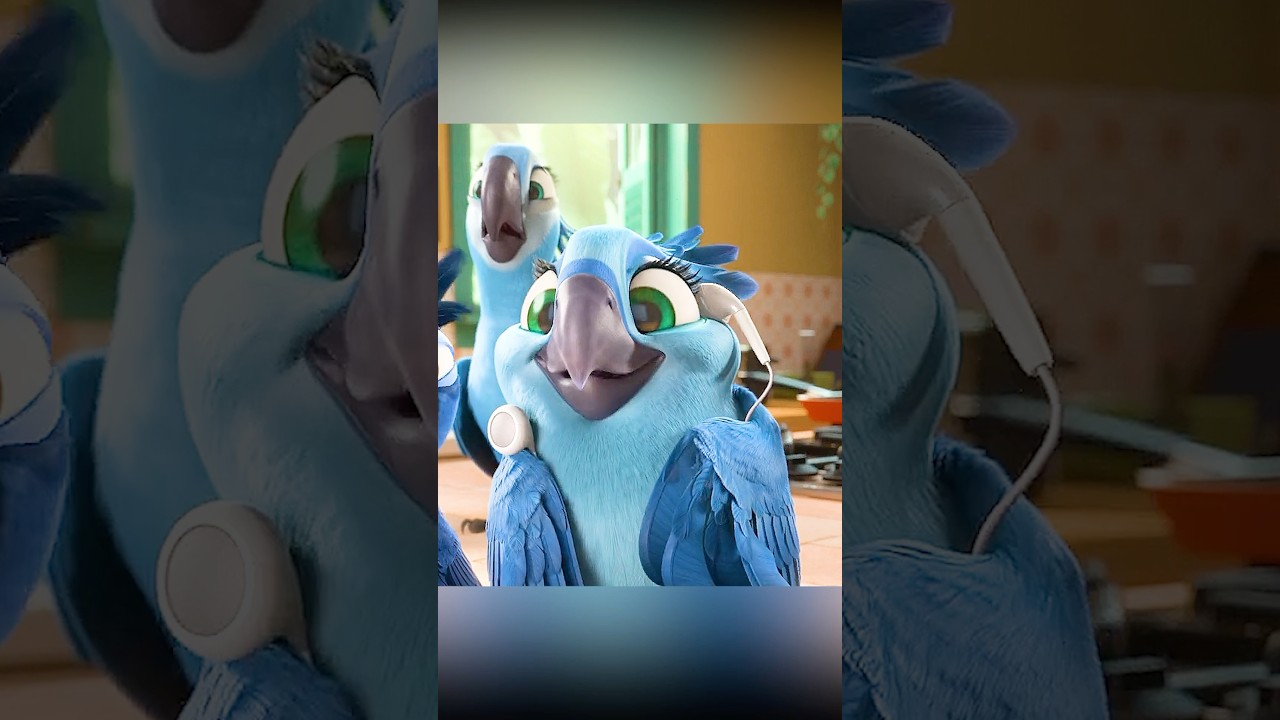 The birds long to return to nature.#edit #shorts #viral #rio #viralvideo